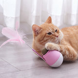 Tumbler funny cat toy