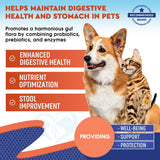 Probiotics & Prebiotics for Dogs & Cats Digestive Enzymes Gut Health