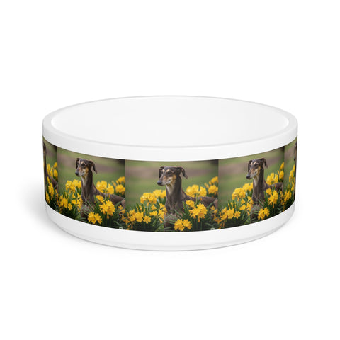 Ceramic Pet Bowl – 16 oz Dog Feeding Bowl