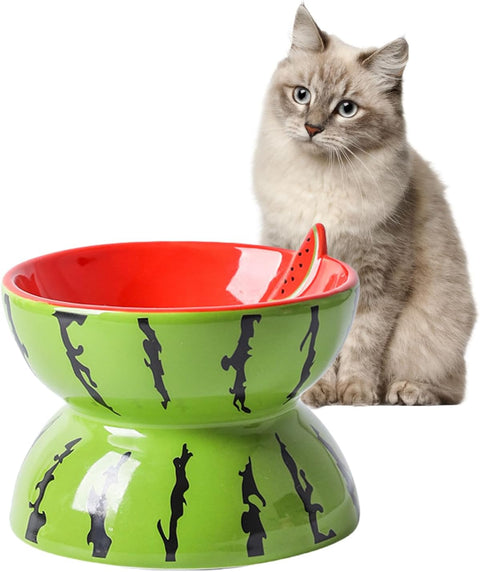 Ceramic Raised Cat Bowl 5In Elevated Wide Cat Bowl For Food And Water Anti Vomiting Tilted Pet Feeder Dish For Indoor Cats And Small Dogs