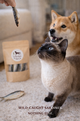 Sardines for Dogs & Cats | Omega-Rich Treat | Whisker & Tail Co.