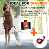 Canny CONNECT Anti-Escape Leash