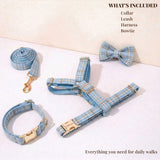 Blue Plaid Set