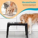 Top 10 Elevated Dog Bowl Stands with Stainless Steel Dishes