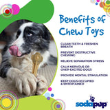 Knuckle Bone Nylon Dog Chew Toy for Aggressive Chewers | Made in USA
