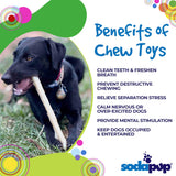Durable Nylon Chew Stick for Power Chewers | Durable Dog Toy USA
