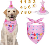 Dog Birthday Party Supplies – Premium Bandana & Hat Set for Dogs
