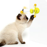 Spring man turns cat toy