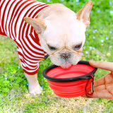 5" Portable and Foldable Small Dog Bowl-Red set of 5
