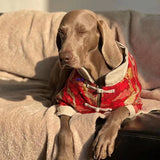 Festive Big Dog Clothes For The New Year
