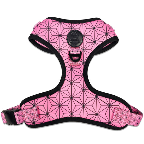 Asanoha Harness