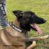 K9R - BCH Heavy Duty Big Dog Collar | Kiloniner