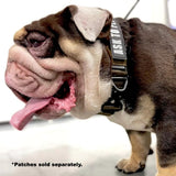 K9R - BCH Heavy Duty Big Dog Collar | Kiloniner