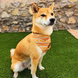 Desert Dream Cooling Bandana