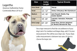 Derby Dog Designer Series USA Leather Padded Dog Collar with Swarovski Crystal Inlay with Stainless Steel Rolled Buckle for Comfort