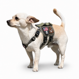 K9R - M5 MOLLE Light Harness