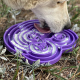 Water Frog eTray - Shallow Slow Feeder Dog Bowl for Enrichment | USA Made