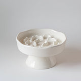 Ceramic Elevated Slow Feeder Bowl