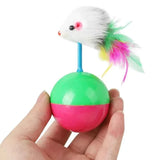 Cat Toys Set – Mouse & Teasing Interactive Pet Toys