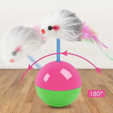 Cat Toys Set – Mouse & Teasing Interactive Pet Toys
