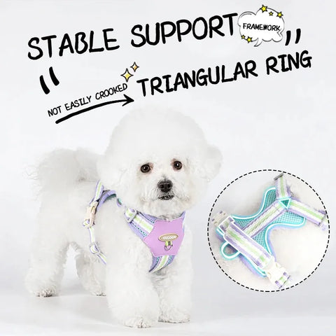 Dog Collars Leash Pet Collar Big Harness Tactical Vest Supplies Pets Dogs Things Small Accessories Cats Puppy Chest Products