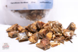 Freeze-Dried Whole Sardines: Fish Treats for Dogs & Cats