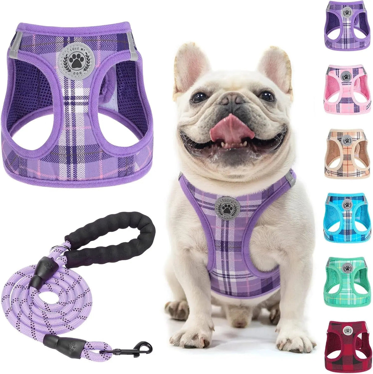 Step-In No-Pull Dog Harness & Leash Set, Reflective