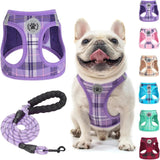 Step-In No-Pull Dog Harness & Leash Set, Reflective