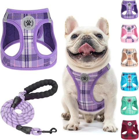 Step-In No-Pull Dog Harness & Leash Set, Reflective