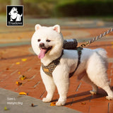 TrueLove Comfort Harness, Leash, and Poop Bag Dispenser TLH2912