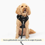 Midnight No-Pull Dog Harness