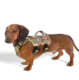 K9R - M5 MOLLE Light Harness