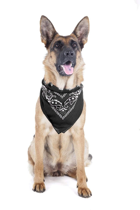 8 Pack Paisley Polyester Pets Dogs Bandana Triangle Shape  - Oversized