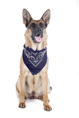8 Pack Paisley Polyester Pets Dogs Bandana Triangle Shape  - Oversized