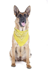 8 Pack Paisley Polyester Pets Dogs Bandana Triangle Shape  - Oversized