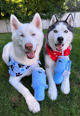 PUPROAR Pup Cup Dog Toy | Cute Squeaky Plush Tumbler Dog Toy