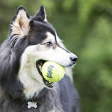 KONG SqueakAir® Ball – Durable Squeaker Tennis Ball Dog Toy for Fetch & Play