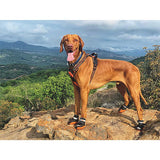 M-Pets Hiking Dog Shoes Protective Outdoor Booties M-L
