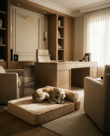 The Modern Day Bed — Boucle Lounge Dog Bed | High-Density Foam, Waterproof Lined, Washable