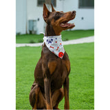 2 Pack Dog Bandanas – White Cute Birthday Pet Scarf for Dogs & Cats, XL