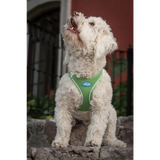 Plush Step In Air Mesh Harness - Grass Green