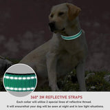 Reflective Nylon Dog Collar | Adjustable Safety Strap for Small and Medium Dogs
