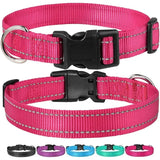 Reflective Nylon Dog Collar | Adjustable Safety Strap for Small and Medium Dogs
