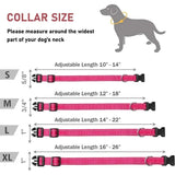 Reflective Nylon Dog Collar | Adjustable Safety Strap for Small and Medium Dogs