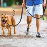 Reflective Pet Leash | Adjustable Polyester Lead Strap for Dogs and Cats